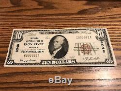 1929 $10 National Currency First National Bank of Iron River Michigan 8545