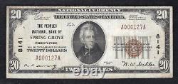 1929 $20 Peoples National Bank Of Spring Grove, Pa National Currency Ch. #8141