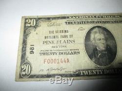 $20 1929 Pine Plains New York NY National Currency Bank Note Bill! Ch. #981 Fine