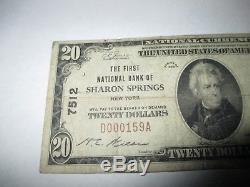 $20 1929 Sharon Springs New York NY National Currency Bank Note Bill #7512 FINE