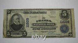 $5 1902 Flora Illinois IL National Currency Bank Note Bill! Ch. #11509 FINE
