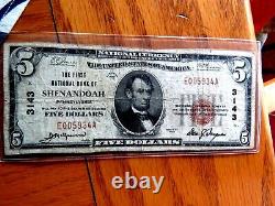 Scarce 1929 $5 National Currency The First National Bank Of Shenandoah Pa #3143