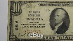 10 $ 1929 Billet De Banque En Monnaie Nationale Unadilla New York Ny Bill Bill Ch # 9516 Fine