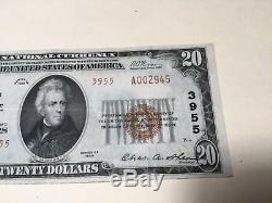 1929 20,00 $ Billet De Monnaie Nationale La Première Banque Nationale De Nanticoke, En Pennsylvanie