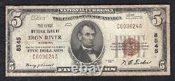 1929 $5 La première banque nationale d'Iron River, MI Monnaie nationale Ch. #8545