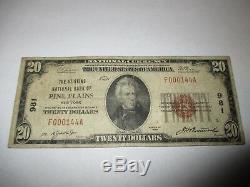20 $ 1929 Billet De Billets De Banque En Monnaie Nationale Pine Plains New York Ny! Ch. # 981 Bien
