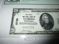 $ 20 1929 Natrona Pennsylvania Pa National Billet De Banque Bill Ch. # 5729 Nouveau