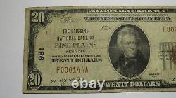 $20 1929 Pine Plains New York Ny National Currency Bank Note Bill! Ch. #981 Amende