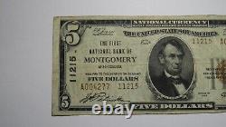 5 1929 Montgomery Minnesota Mn Monnaie Nationale Banque Note Bill Ch. #11215 Vf