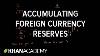 Accumulation Des Réserves De Change Foreign Exchange Macroeconomics Khan Academy