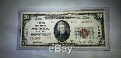 Billet De 20 Dollars Série Nationale De Monnaies 1929 Banque Nationale Monticello