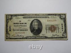 Billet de banque de la National Currency Bank de Montpelier, Ohio OH, datant de 1929, d'une valeur de 20 $, Charte n° 5341, en bon état.
